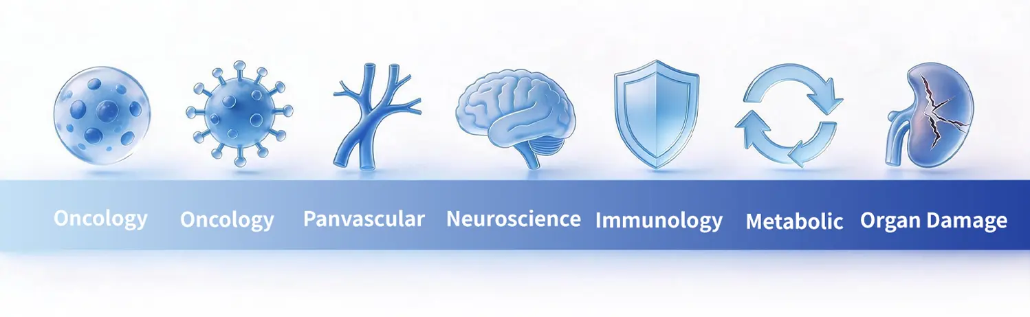 Major disease R&D directions: oncology, infection, panvascular, neuroscience, immunology, metabolic disease, and organ damage