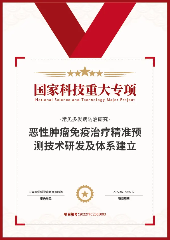 标杆项目证书 1