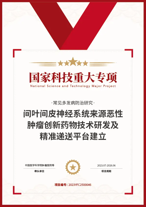 标杆项目证书 3