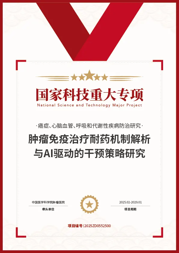 标杆项目证书 11
