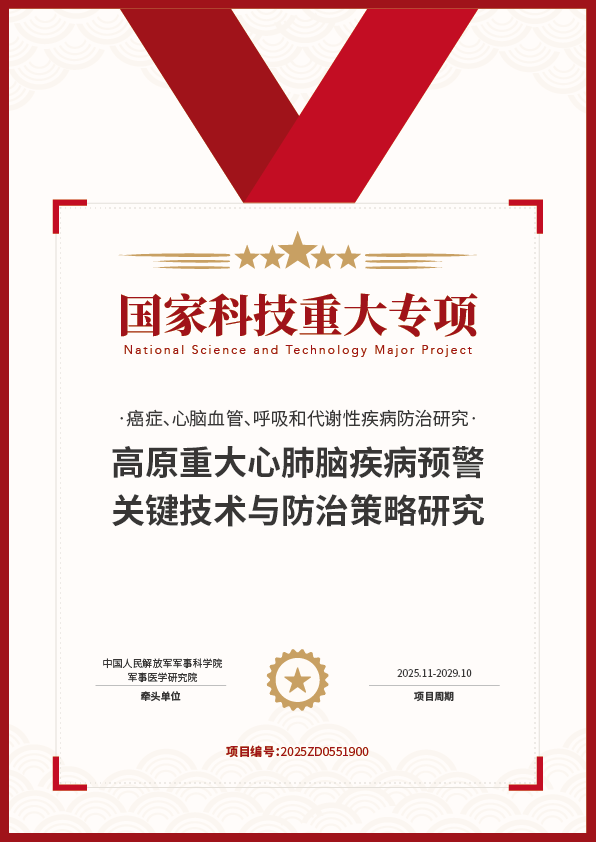 标杆项目证书 12