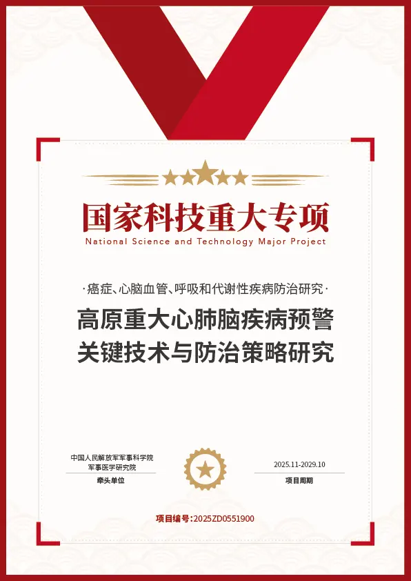 标杆项目证书 12