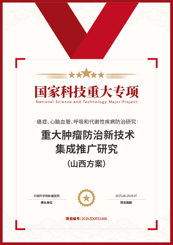 标杆项目证书 13