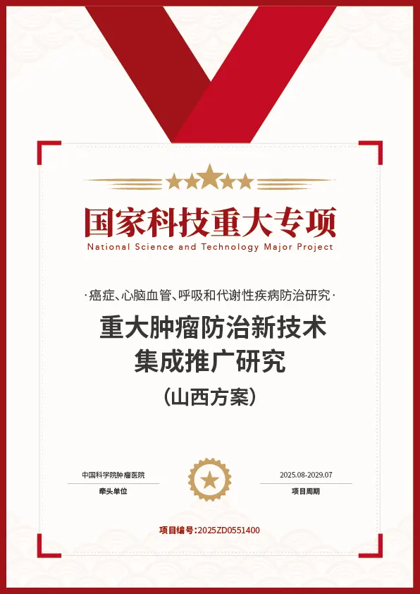 标杆项目证书 13