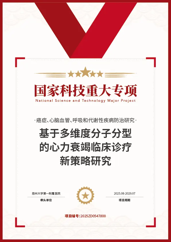 标杆项目证书 14
