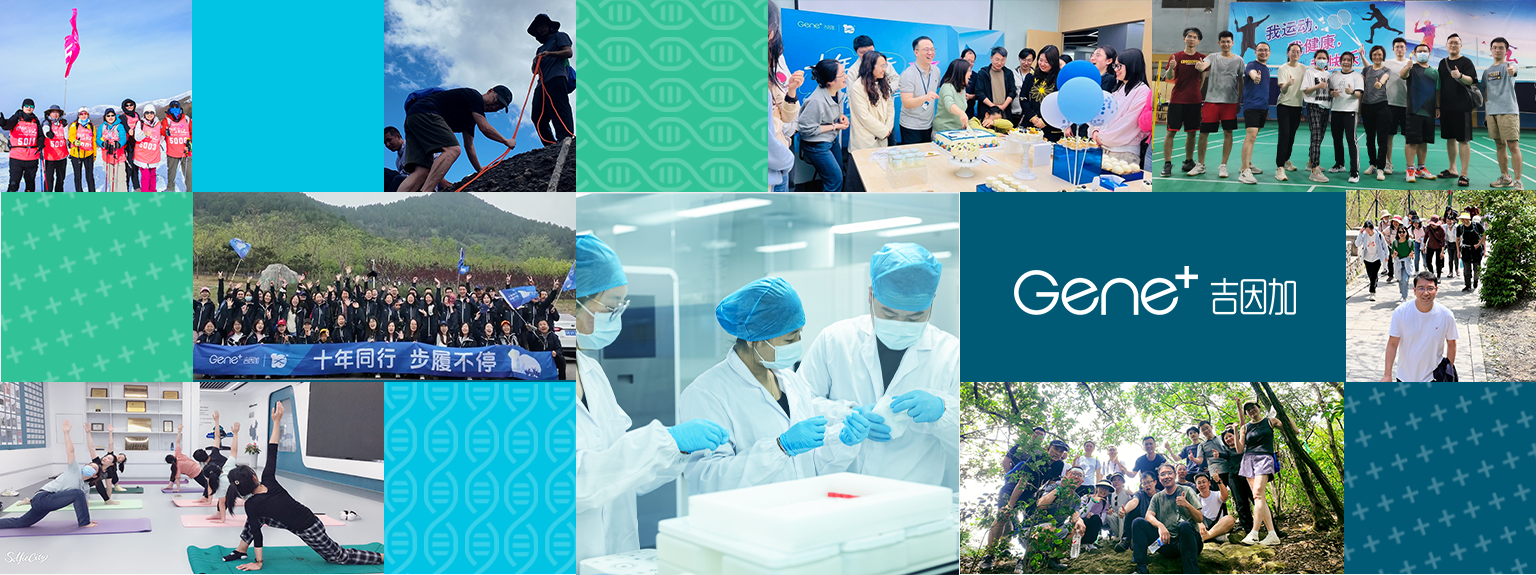 吉因加员工风采拼贴图