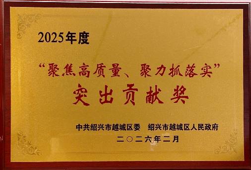 2025年度“聚焦高质量、聚力抓落实”突出贡献奖奖牌