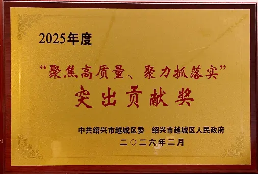 2025年度“聚焦高质量、聚力抓落实”突出贡献奖奖牌