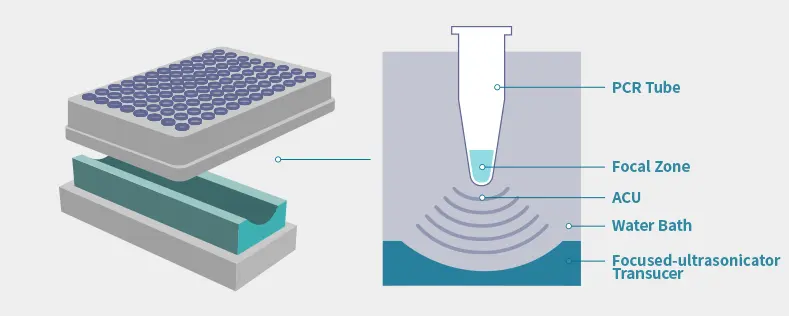 Ultrasonic processing vessels and focal-zone diagram