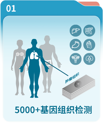 5000+基因组织检测