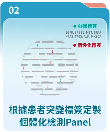 根據患者突變標籤定製個體化檢測Panel