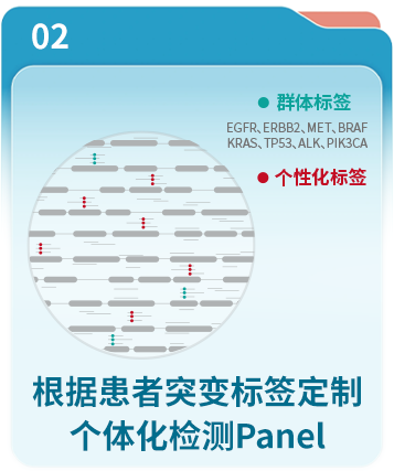 根据患者突变标签定制个体化检测Panel