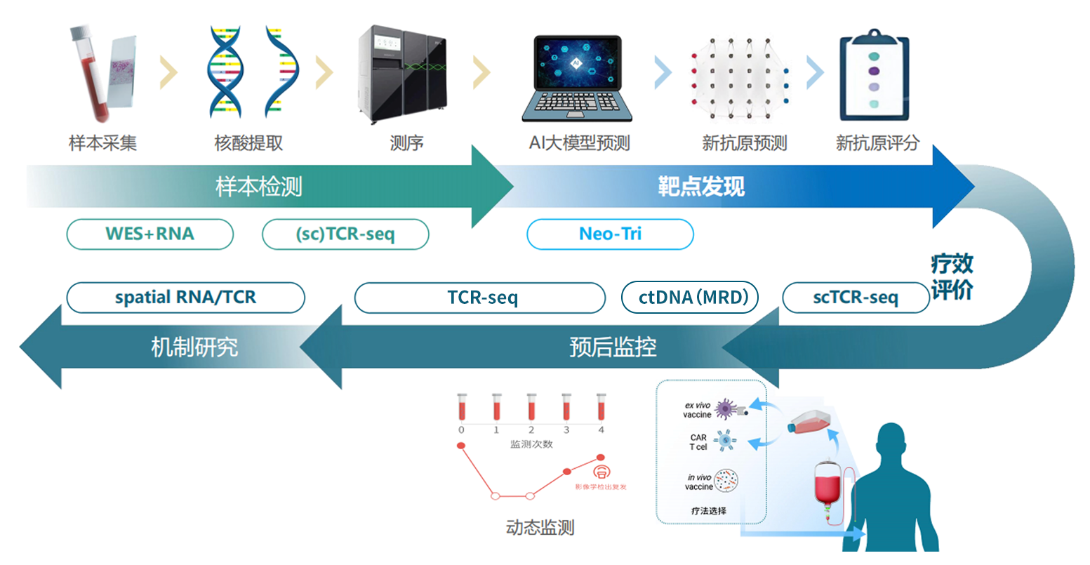 CGT 助力生物创新药转化流程图