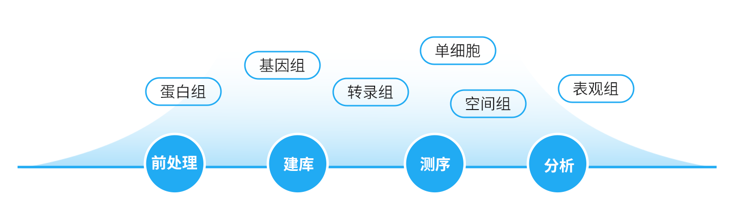 多组学技术平台流程图
