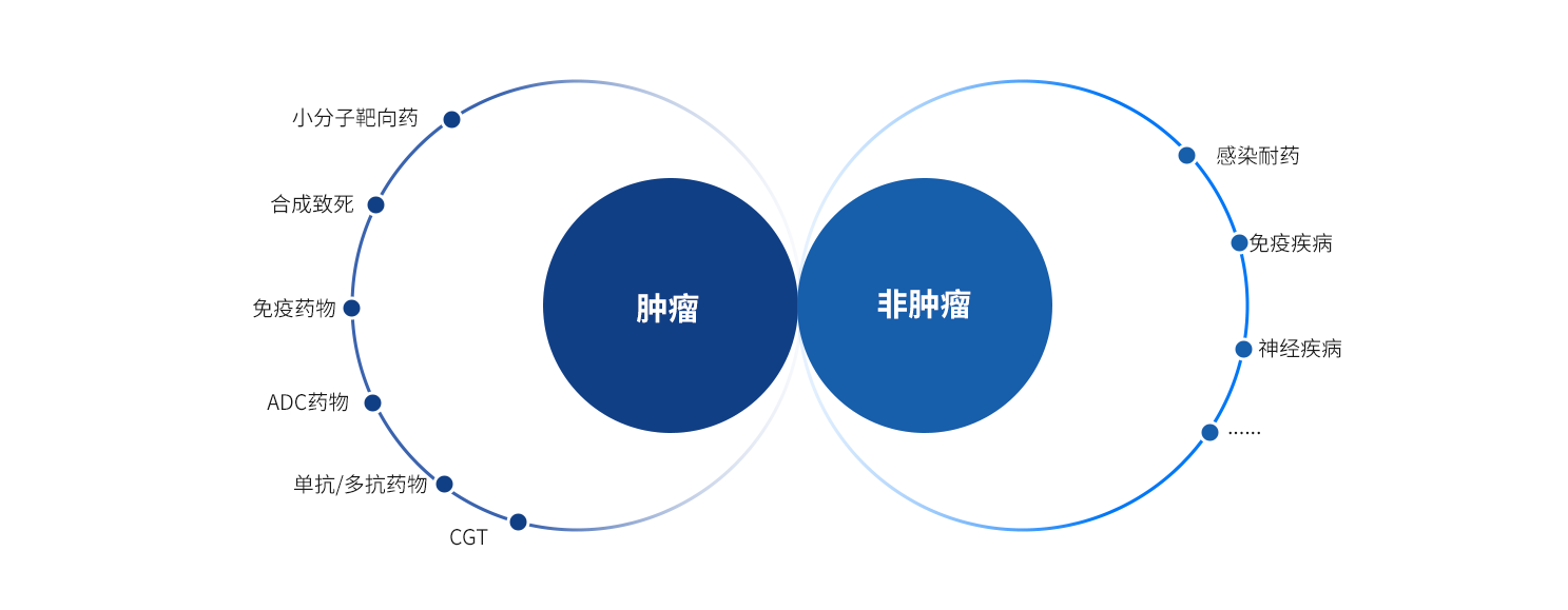 药物研发适应症与疾病领域覆盖图