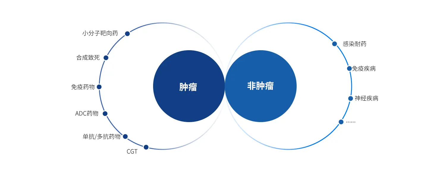 药物研发适应症与疾病领域覆盖图