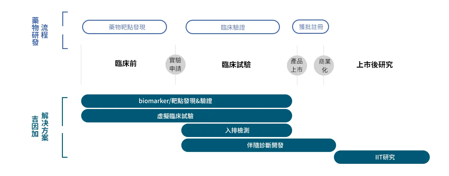 藥物研發流程與必发888集团解決方案映射圖
