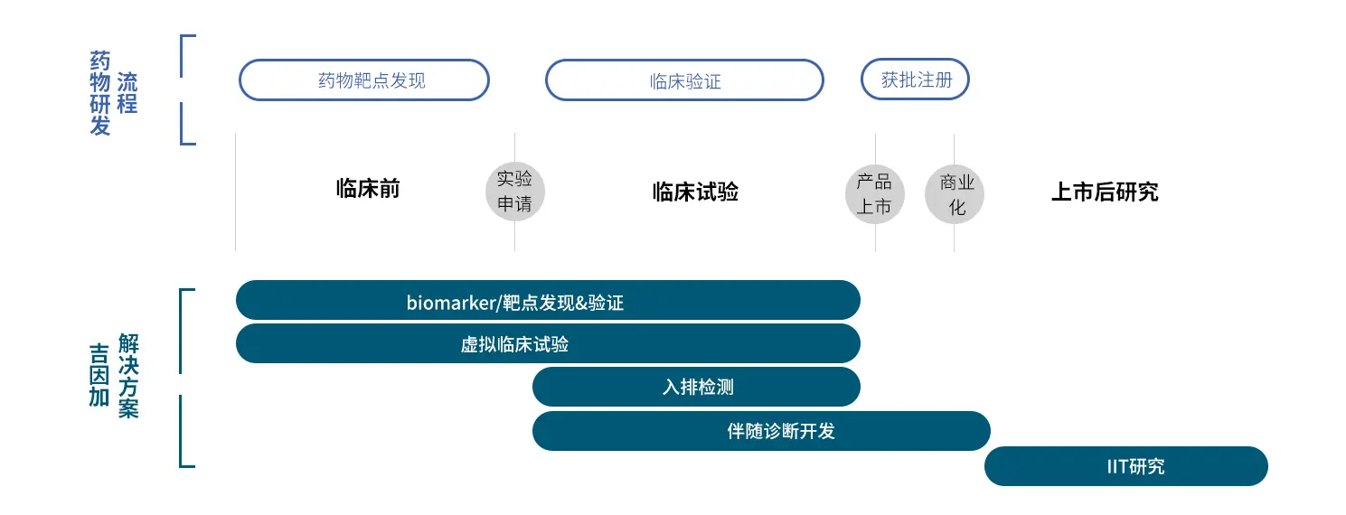 药物研发流程与必发888集团解决方案映射图
