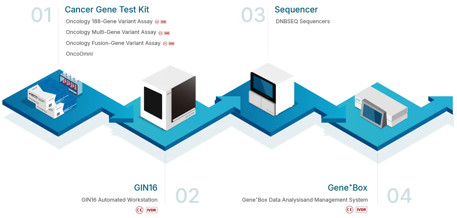 Four-step oncology NGS workflow from cancer gene testing through library preparation and sequencing to Gene+Box analysis