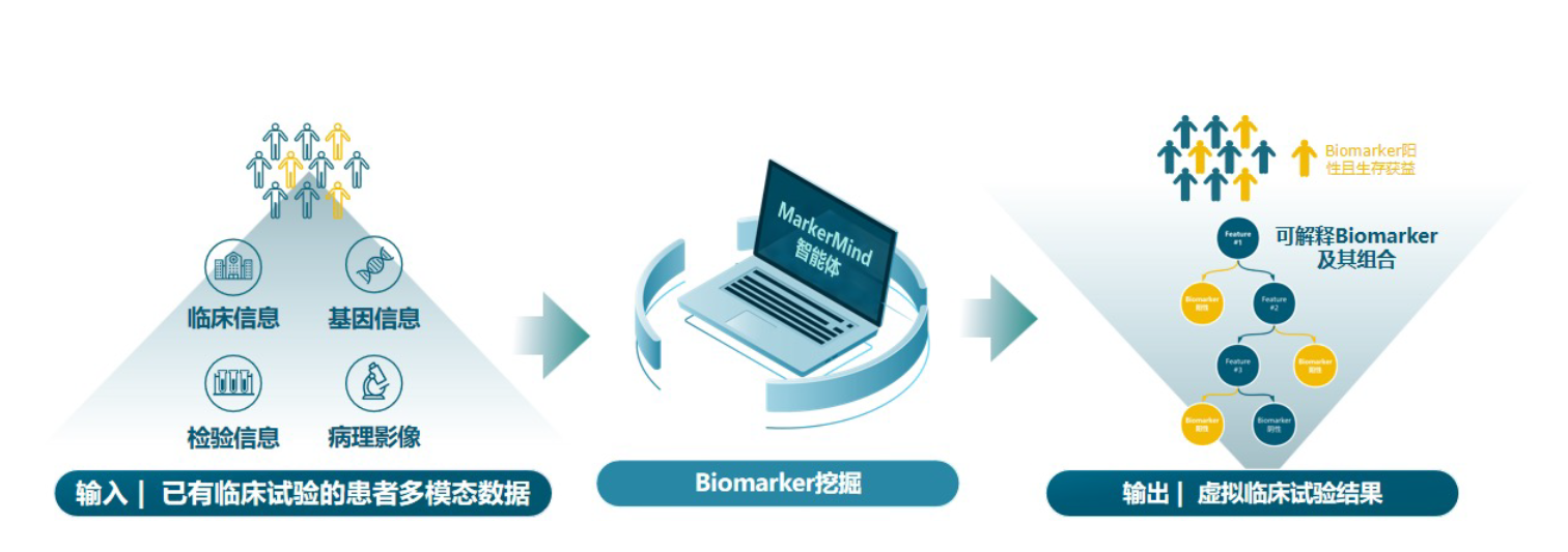 虚拟临床试验流程图