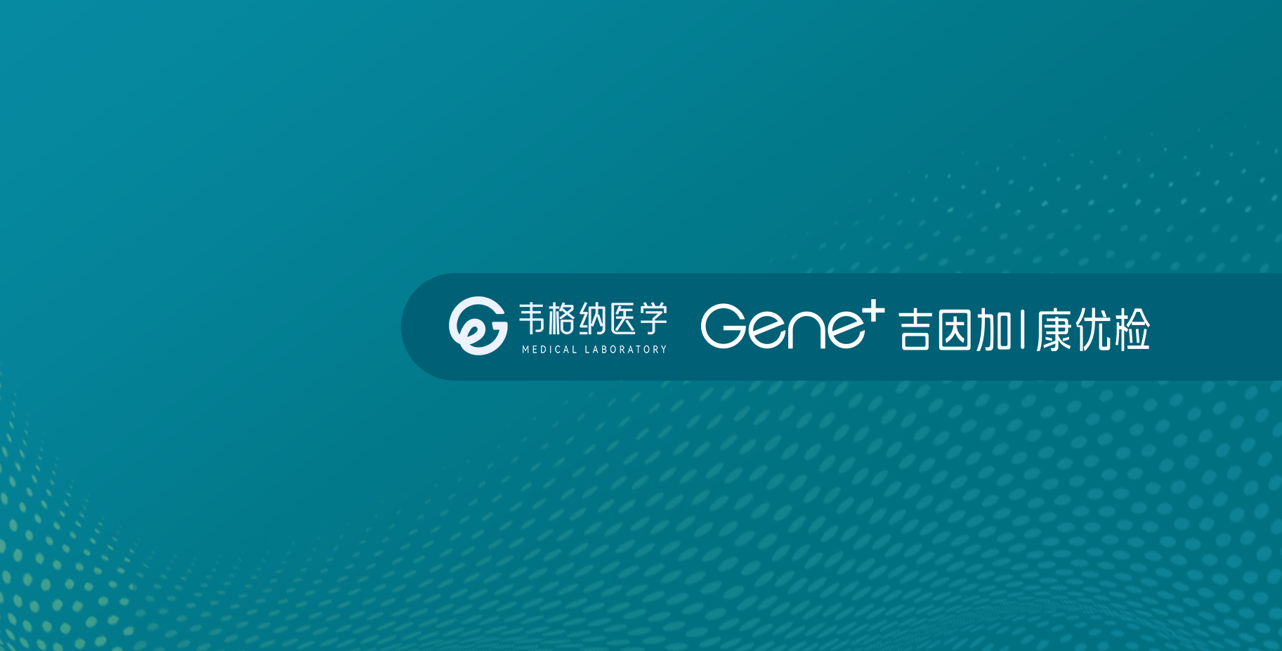 驗證報告頁面橫幅
